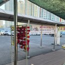 경남자동차중기정비 | 경남 마산 가볼만한 곳 《돝섬》에 갈매기 밥 주러 아이 둘이랑 산책 다녀오기