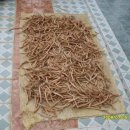 은아네집 이미지