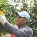 김규철농장 이미지