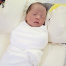 시온디자인주 이미지
