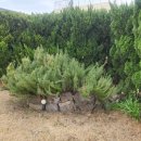 제주놀3320 이미지