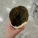 사장님 배달가야쥬 | ෆ 2025.05 ෆ