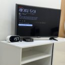 아름다운 개 | 아름다운오늘 붙임머리 18인치 인천붙임머리 장단점 내돈내산 후기