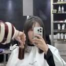 시영드라이 이미지