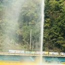 장성황룡강노란꽃잔치 축제장6 이미지