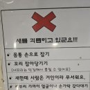 리프패럿 롯데마트 광복점 이미지