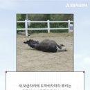 흙뿌리 농장 네이버블로그