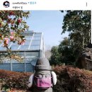 돌하르방 이미지