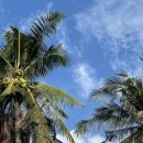 섬안농장 | 인도네시아 발리 8박 10일 일정 및 비용 총정리⎮200만원