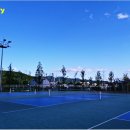 월드컵빌리지 축구장 천연 이미지