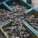 청정바다수산 이미지