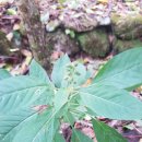 설악산오색마을 이미지