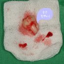 김병수치과의원 이미지