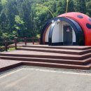 제암산 무당벌레화장실 이미지