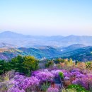 강화젓국마을
