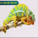커리어디자인세이