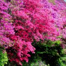 백양산 애진봉 이미지