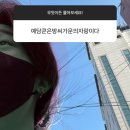 트위터 모음 재밌죠..?.twt 이미지