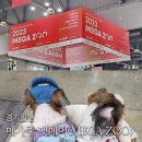 [경기/일산] 강아지들의 신나는 쇼핑천국, 2023 메가주(MEGA ZOO) 처음 다녀왔어요. / 강아지펫페어...