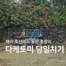 다케토미 당일치기 일정 및 호선버스 이시가키 페리 타는법 및 예산 총정리