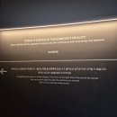 속초 가볼만한 곳 추천 놀거리 체험형 AI 미디어아트 뮤지엄엑스