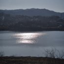 유정상사 | 🎬우리가 사랑한 단어들 - 순우리말 ✔️드레,✔️몬존하다 外 // 지안 스님(志安)