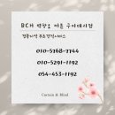 벽창호구미 이미지