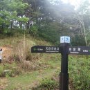 장원초교 이미지