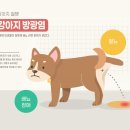 괴정동물병원 이미지