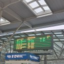 상상S2 호텔 | [2025 부산 전시] &lt;힐마 아프 클린트: 적절한 소환&gt; - 힐마 아프 클린트; 예술가의 이름을 더욱 신중...