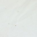 글로우나인
