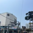 김밥군쫄면양