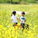 동림북구 어린이집 이미지