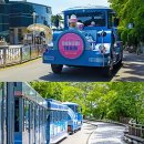 다누비 열차 이미지