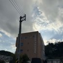 안창팽나무집