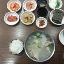 미포 오션사이드 호텔(MIPO OCEANSIDE HOTEL) 이미지