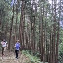 동호우리약국 이미지