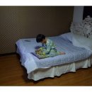 공룡모텔 이미지