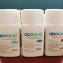 시흥동물약국 이미지