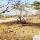 한중우호의숲 이미지