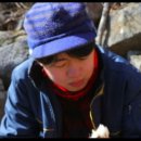 지리산화개깊은골 이미지