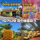 송은농장 | 아이와 오키나와 북부 가볼만한곳 파인애플파크 볼거리 입장권