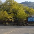 남평버스정류장 이미지