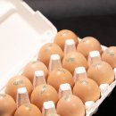 주령축산 이미지