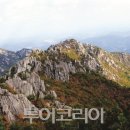 성주카 이미지