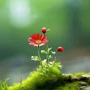 고고 ('Go! Go!) ~~ 고 이미지