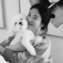 이진수지 이미지