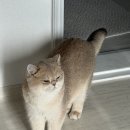 십이월칠일 네이버블로그