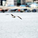 미래가정의학과의원 이미지