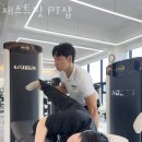 제스트핏 피티샵 이미지